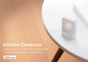 Motion Detector